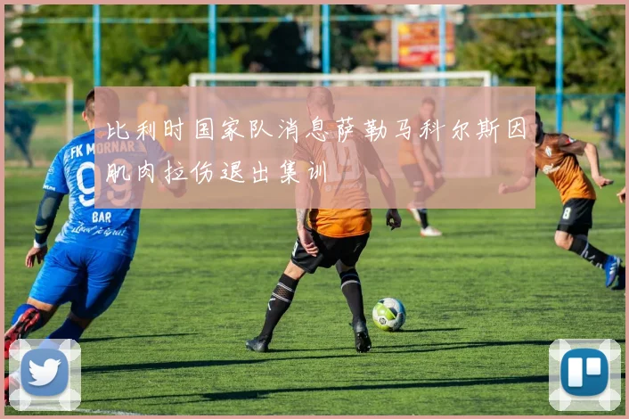 比利时国家队消息萨勒马科尔斯因肌肉拉伤退出集训
