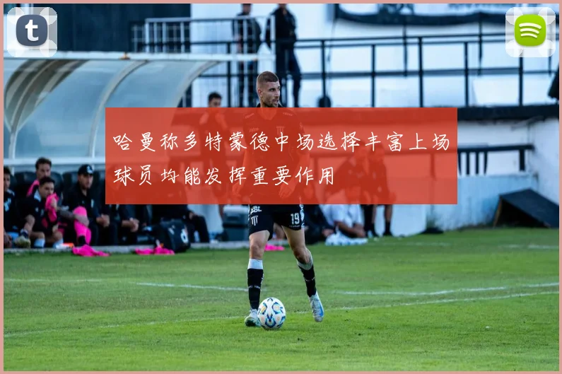哈曼称多特蒙德中场选择丰富上场球员均能发挥重要作用