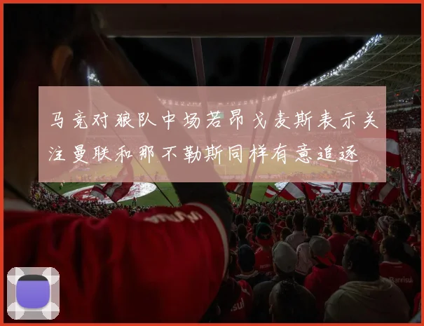马竞对狼队中场若昂戈麦斯表示关注曼联和那不勒斯同样有意追逐