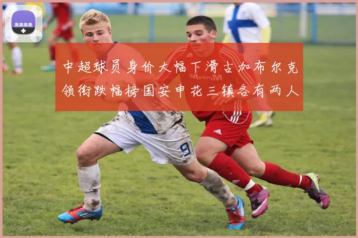 中超球员身价大幅下滑古加布尔克领衔跌幅榜国安申花三镇各有两人上榜